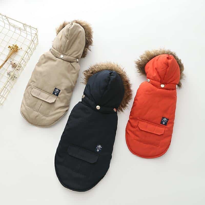 Two-legged hooded down jacket for dogs | warm & stylish pet winter clothing | mascoshop