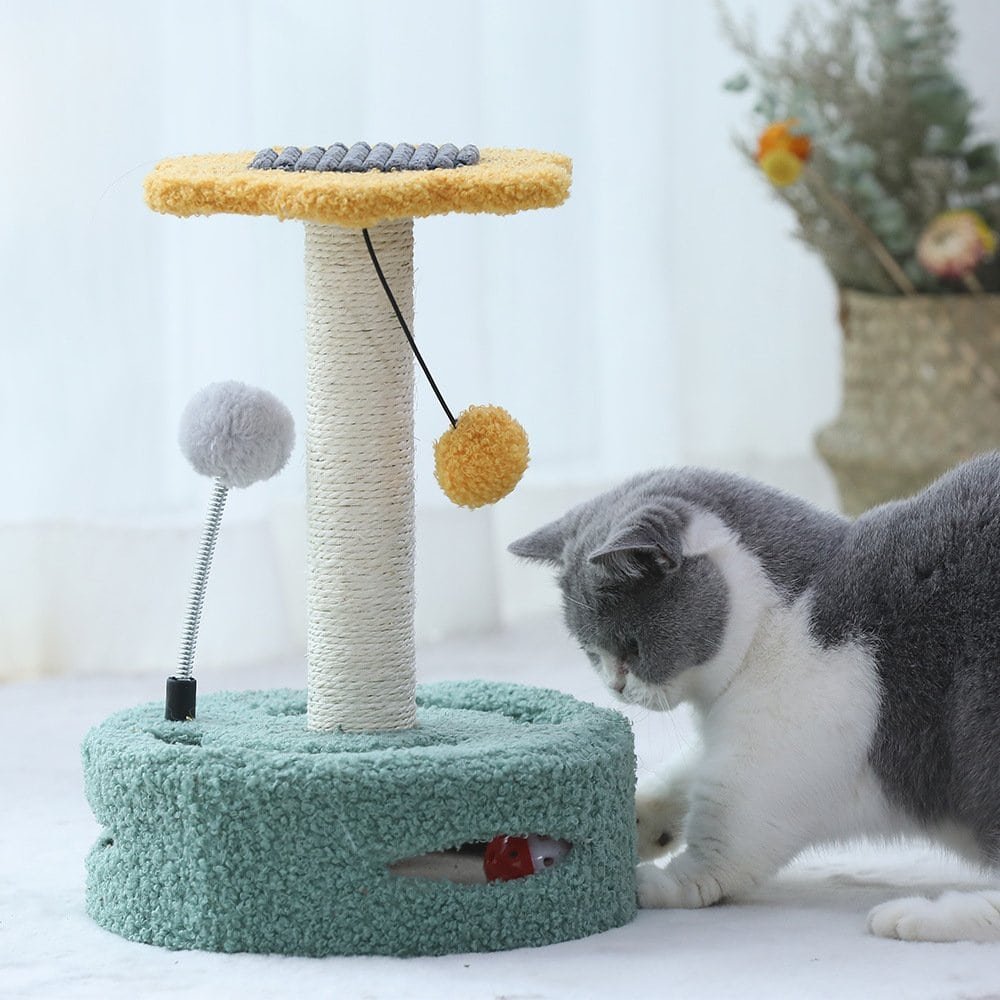 Multifunctional cat scratching tree | funny cat toy & scratching board for kittens | mascoshop