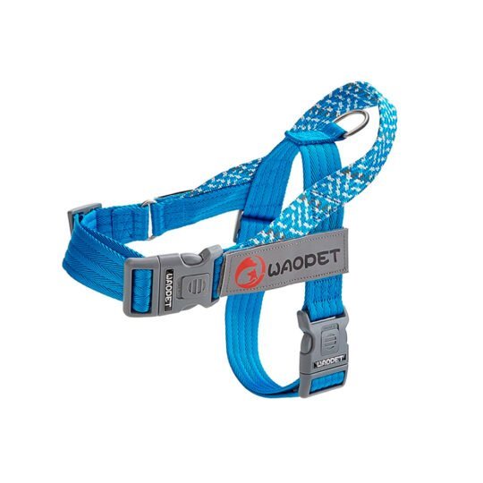 Reflective no pull dog harness in impact blue with durable adjustable straps and side buckle