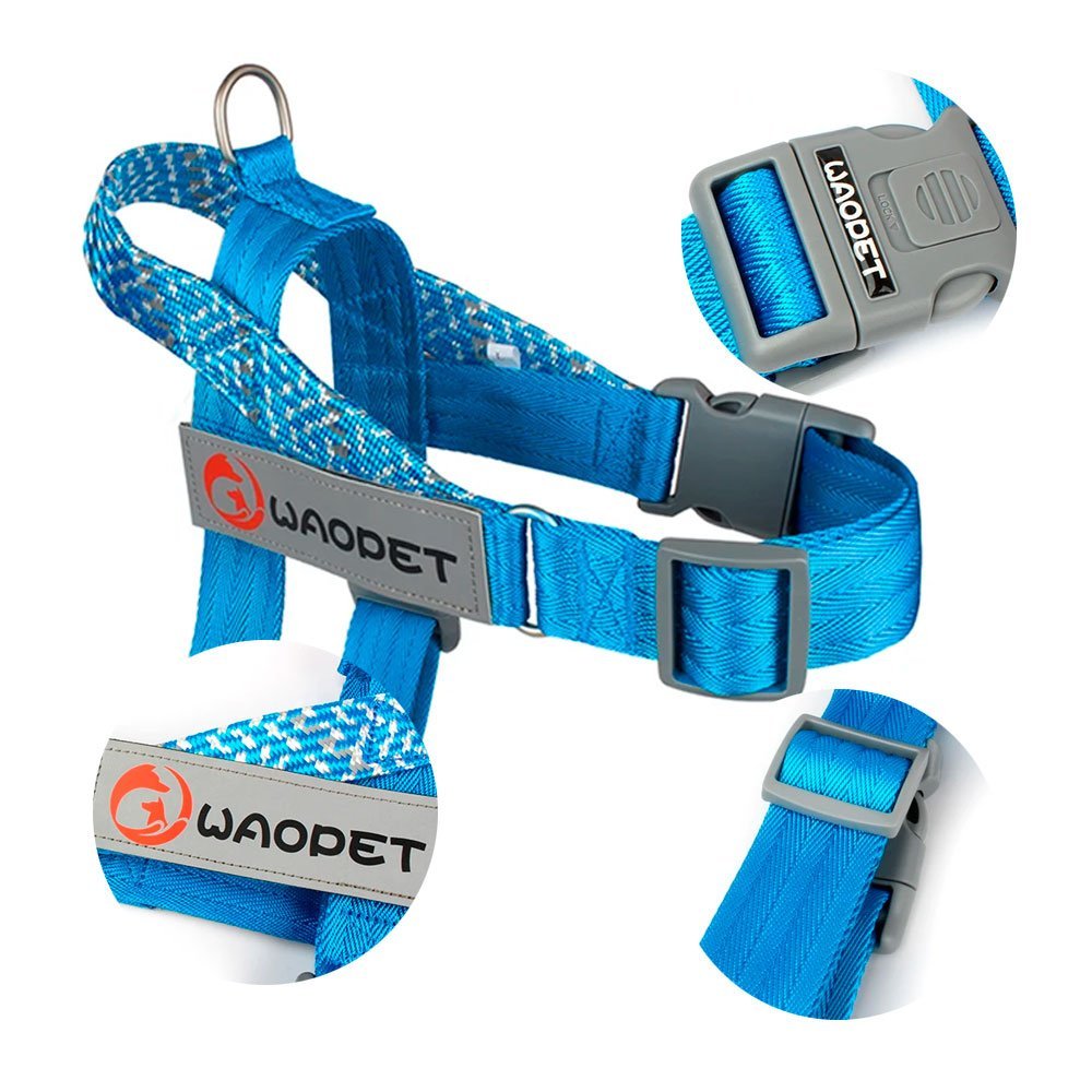 Detailed view of no pull dog harness in Impact Blue showing reflective stitching, adjustable buckles, and branded label