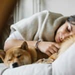 Young woman with purebred dog sleeping together on soft couch